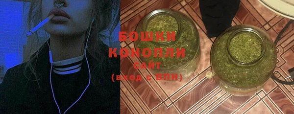 молекула духа Верхний Тагил