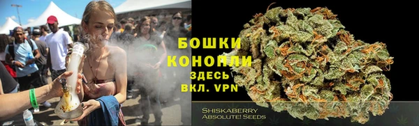 молекула духа Верхний Тагил