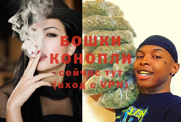 молекула духа Верхний Тагил